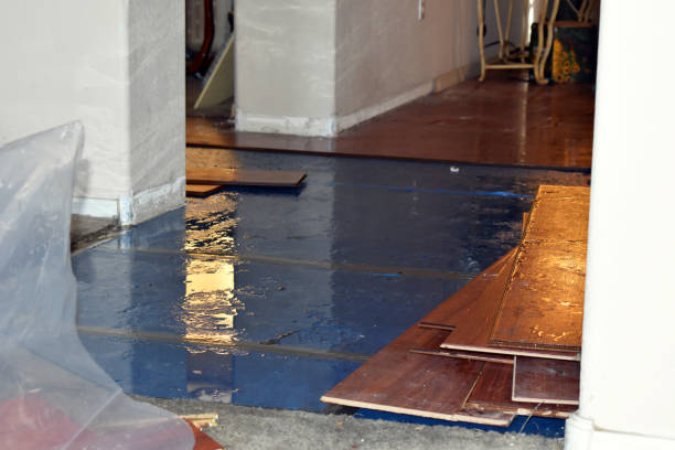 Professional Burst Pipe Cleanup technician working in Brinklow, MD